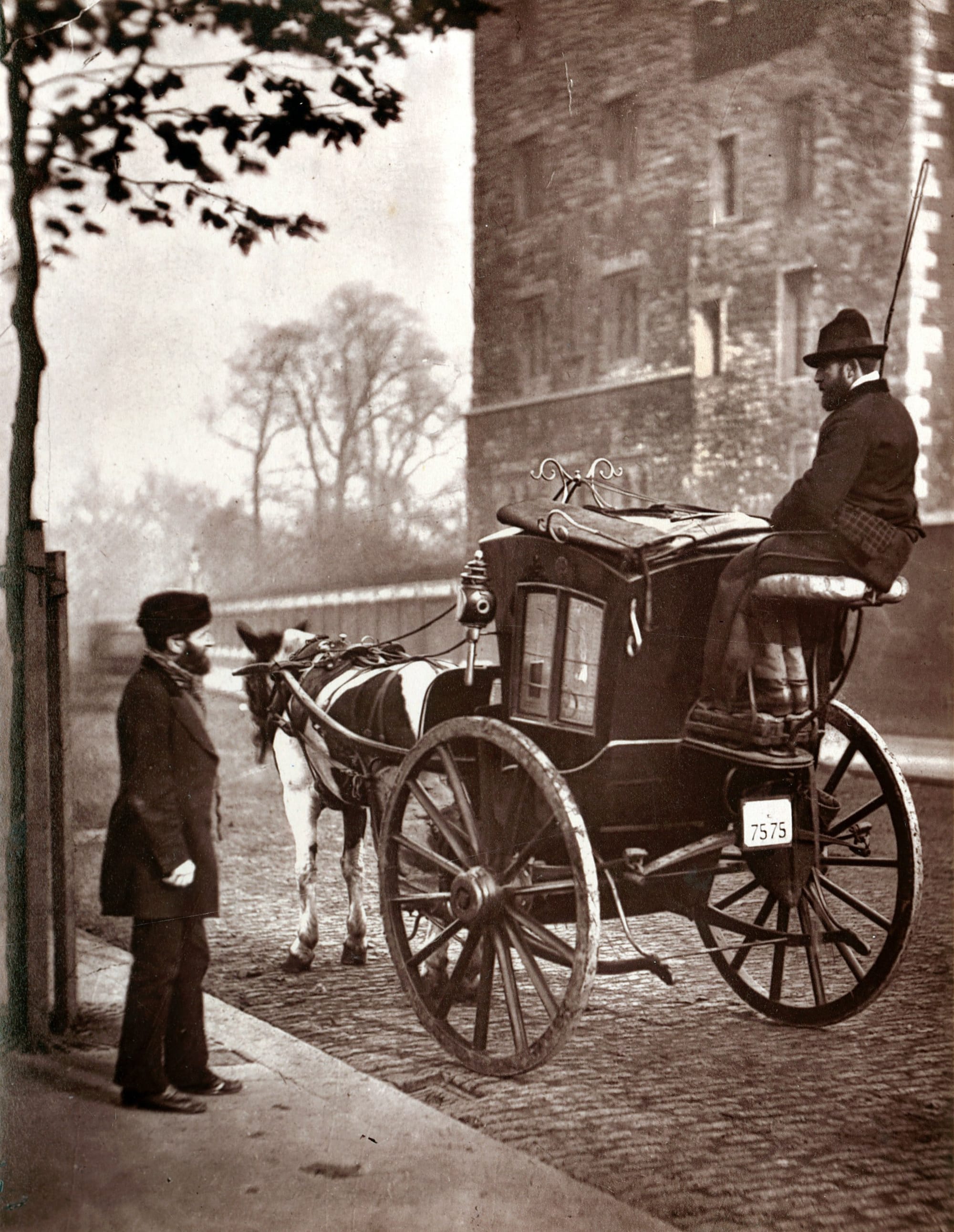 Horse and carriage Horse and carriage