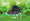 Greenwashing, ESG And Alternative Investments