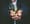 Transitions, Transactions & Promotions: Mercer Acquires $5 Billion Regis As DeVoe Updates M&A Forecast